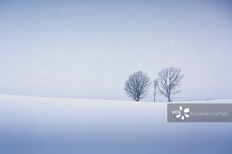 冬季美瑛图片素材
