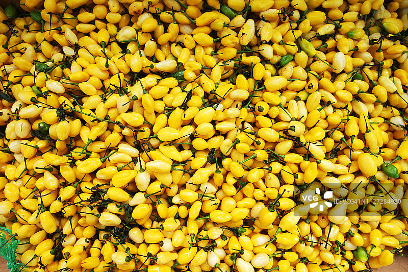 巴西贝伦的韦罗佩索市场图片素材