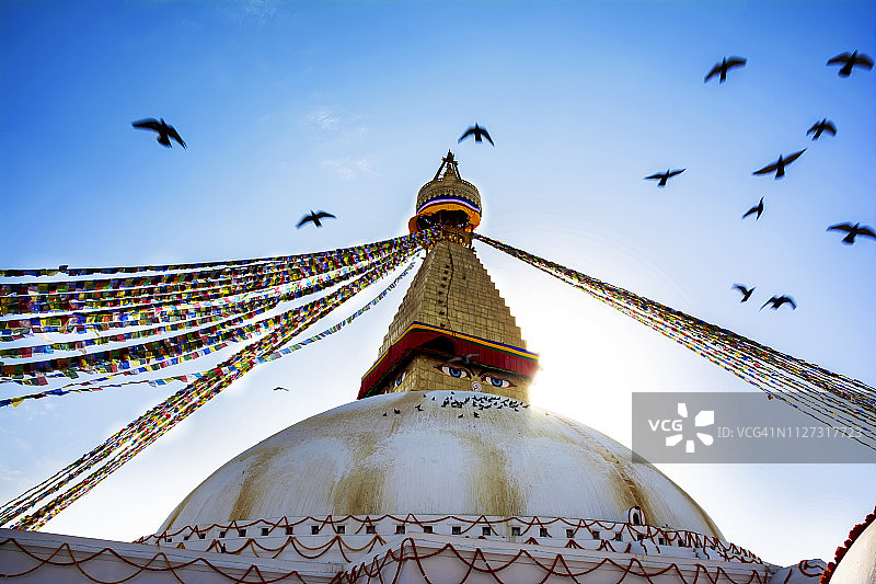 尼泊尔博达哈大佛塔图片素材