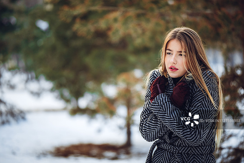 雪中之美图片素材