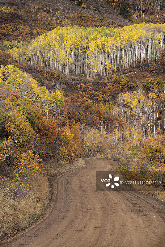 科罗拉多州乡村小路上的秋色图片素材
