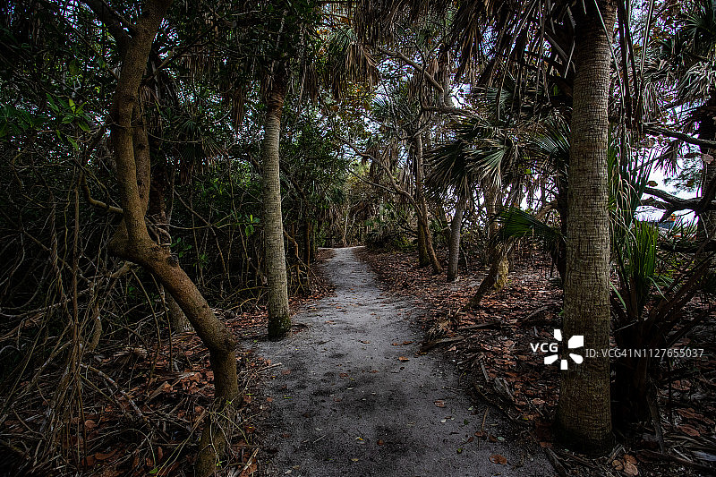 盲人通道木板路图片素材