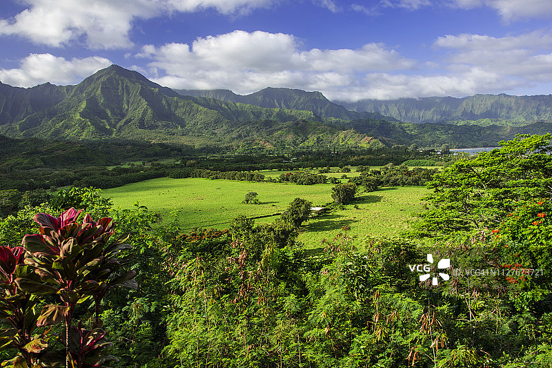 夏威夷可爱岛路边风景俯瞰图片素材
