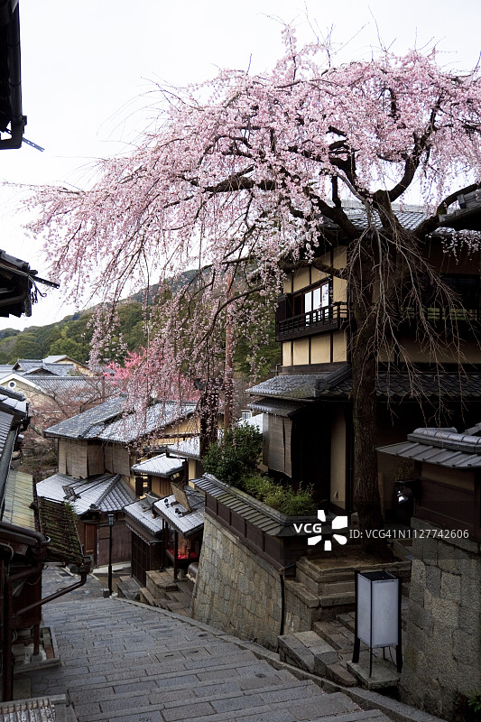 京都市三年坂街道图片素材