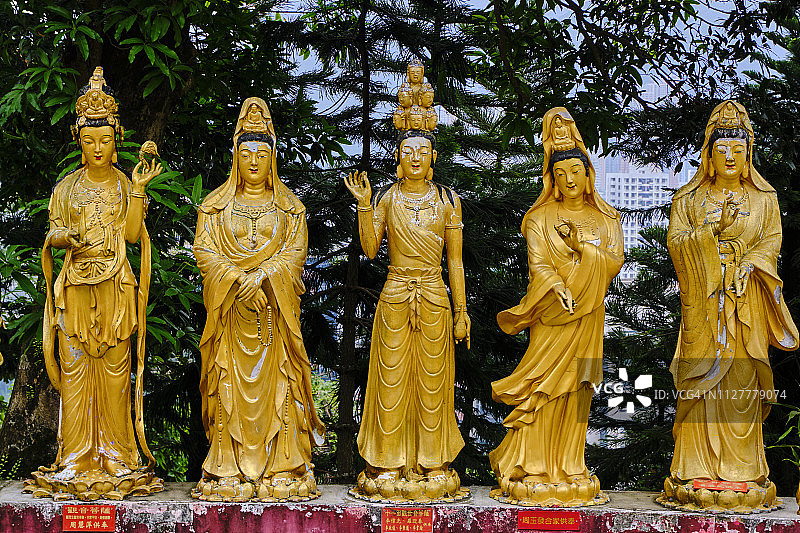 中国香港九龙万佛寺图片素材