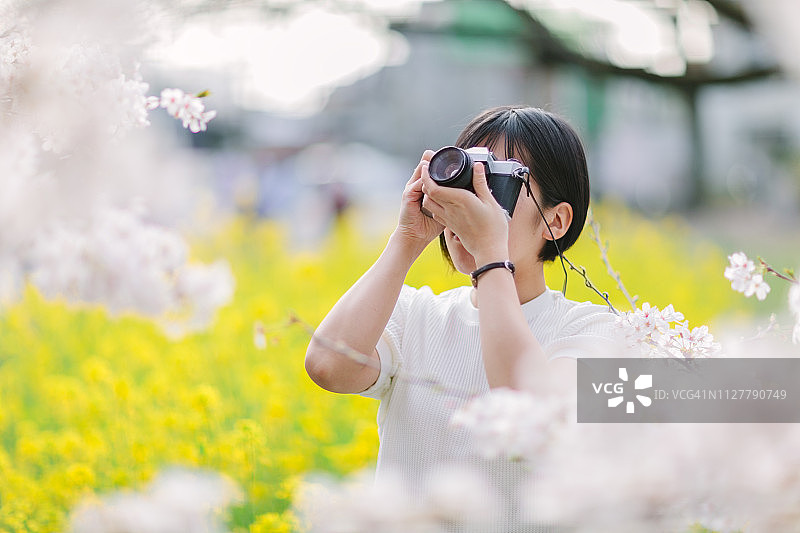年轻女人拍摄樱花树照片图片素材