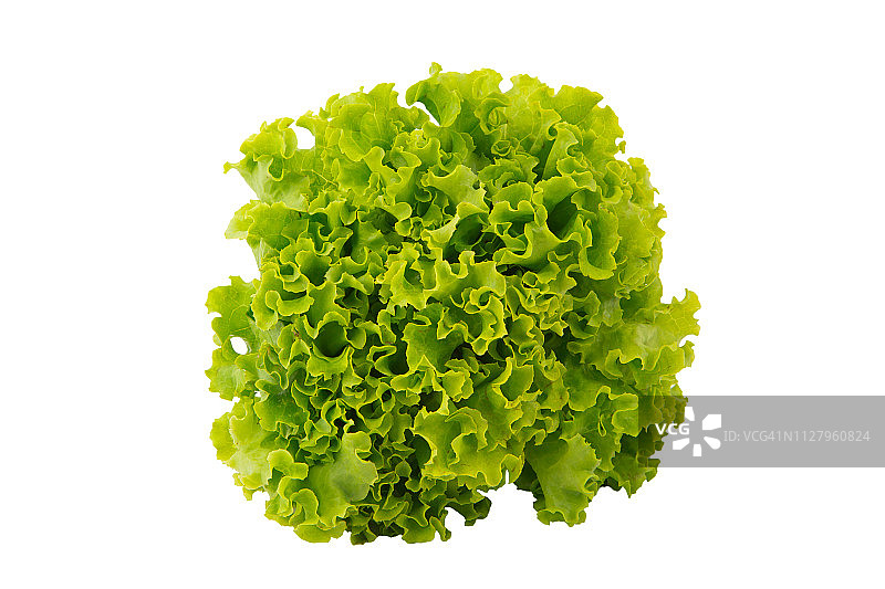 白色背景上隔离的新鲜绿色生菜图片素材