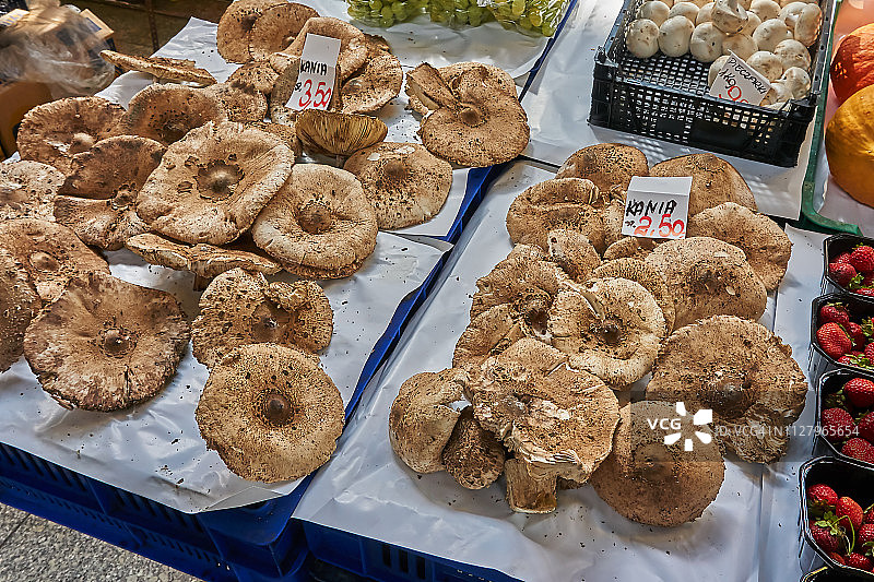 卡尼亚图片素材