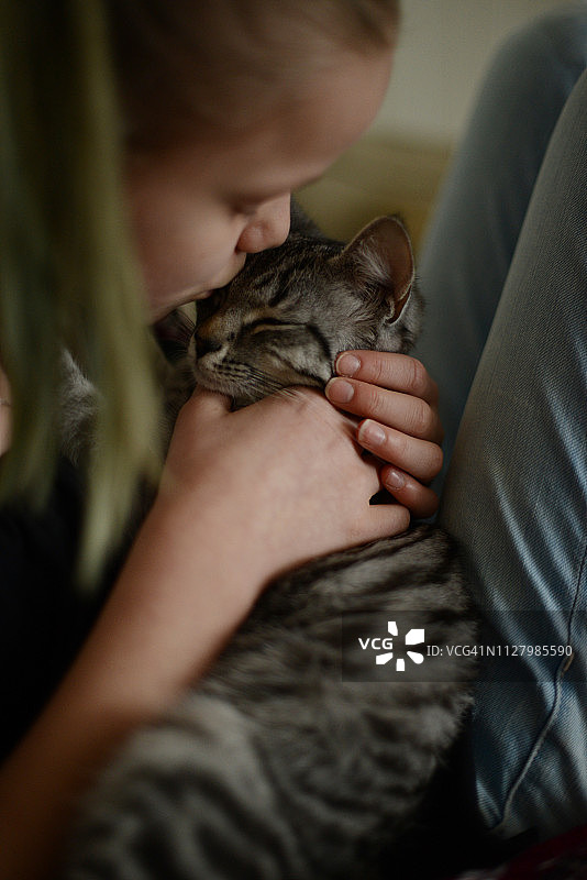 抱着小猫的女孩图片素材