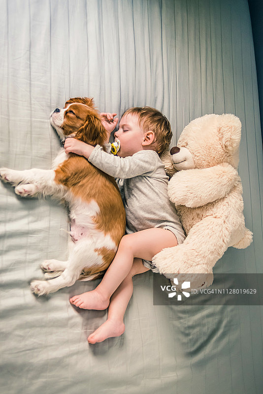 慵懒的居家早晨图片素材