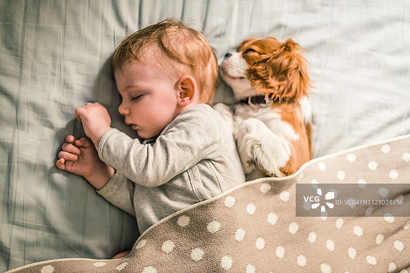 安静的午睡图片素材