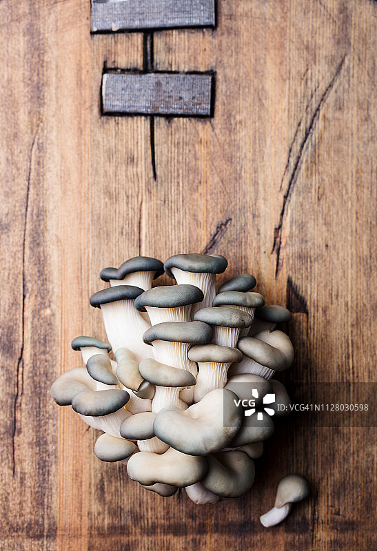 平菇或平菇放在木砧板上。前视图。副本的空间。图片素材