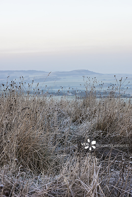 冬季的邓斯特布尔丘陵图片素材