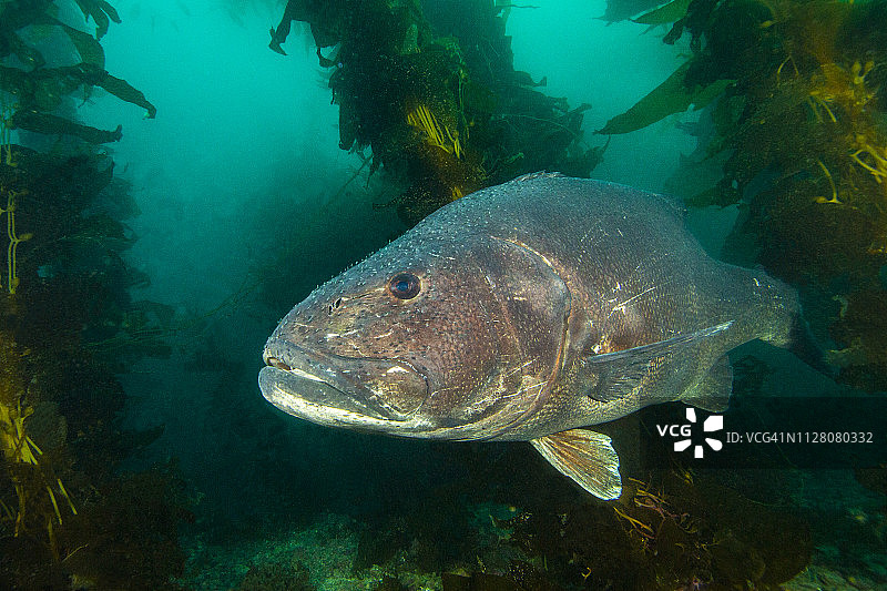 bsb3Apr29-18图片素材