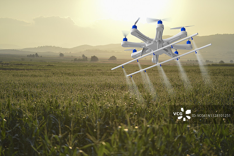 无人机在日落时分喷洒农田图片素材