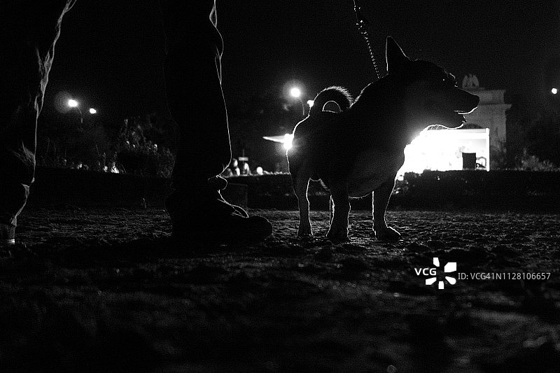 主人和可爱腊肠犬图片素材