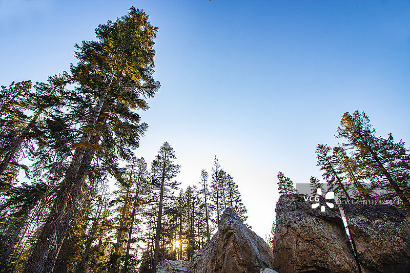 裸岛湖泊树木图片素材
