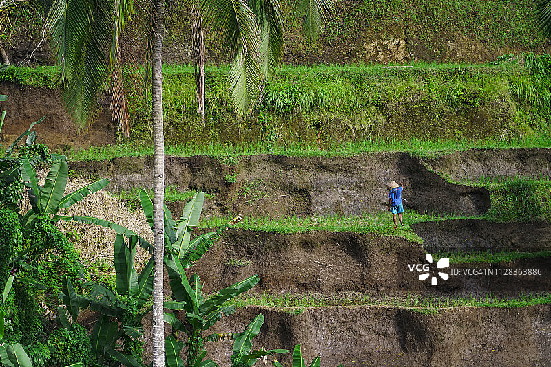 农民在德格拉朗梯田工作图片素材