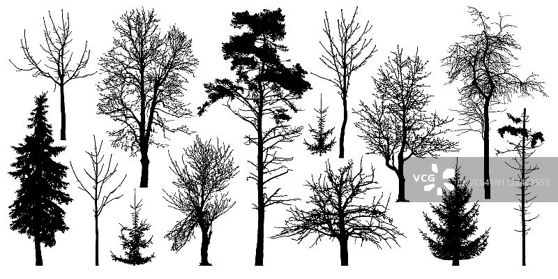 森林里没有叶子的树木。冬季树木设置，剪影向量。Сollection有结的孤立的树干图片素材
