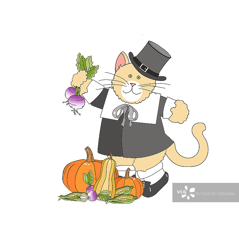 感恩节插画：打扮成朝圣者的猫/小猫，白色背景图片素材