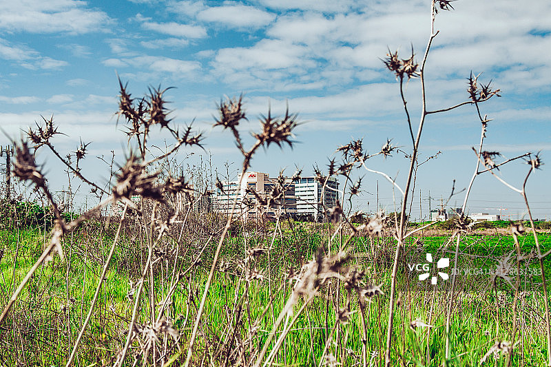 靠近城市的农田图片素材