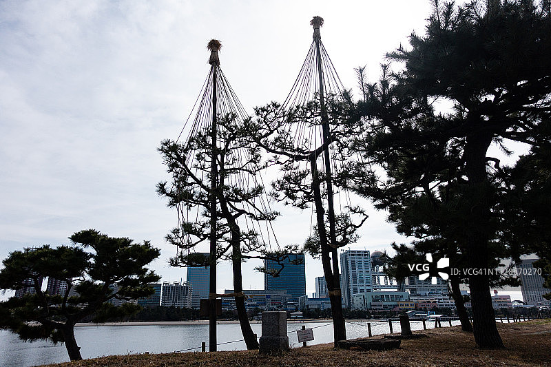 日本东京港区台场公园图片素材