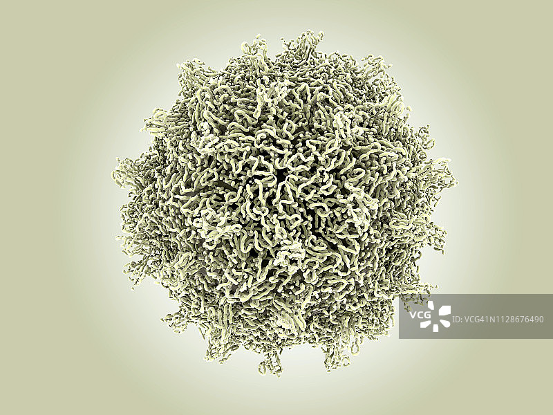 柯萨奇病毒颗粒插图图片素材