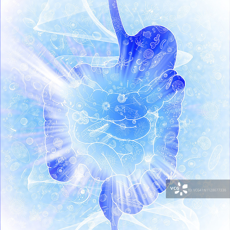 人体肠道菌群插画图片素材