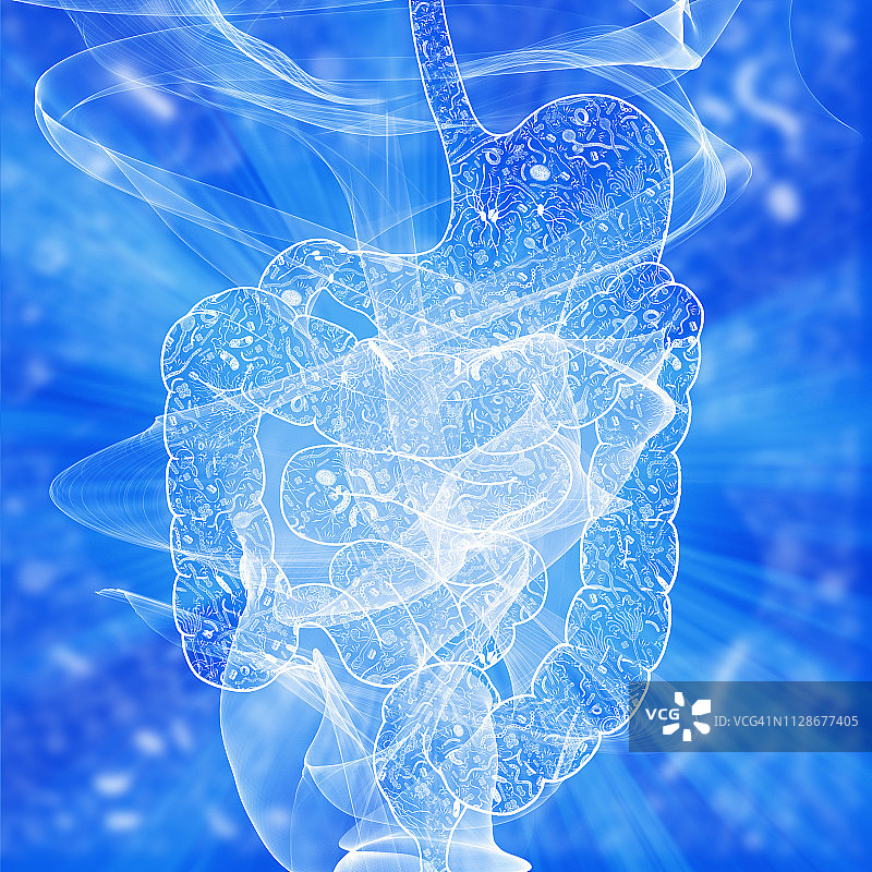 人体肠道菌群插画图片素材