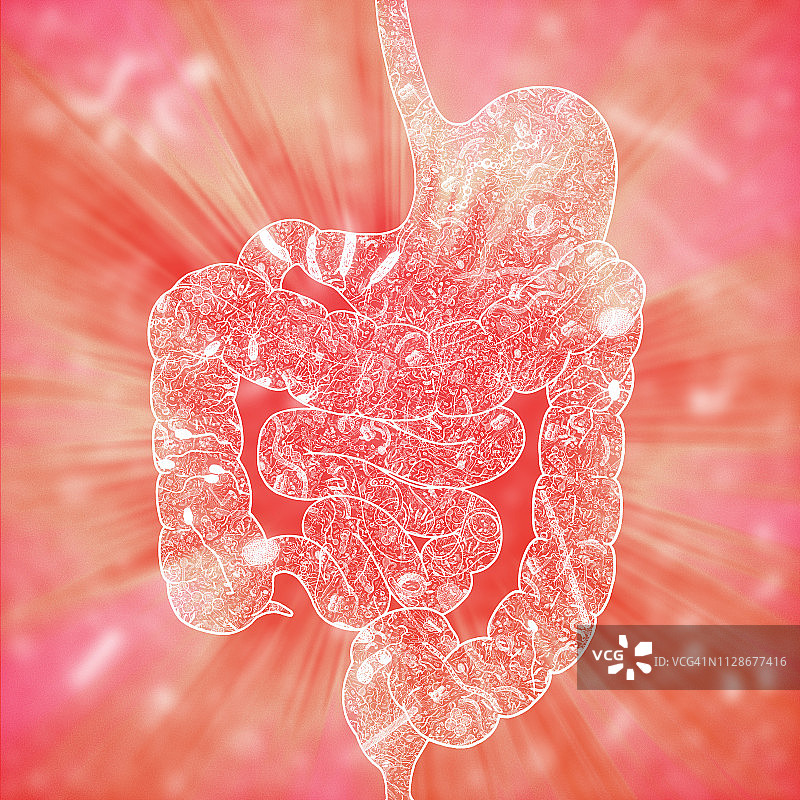 人体肠道菌群插画图片素材