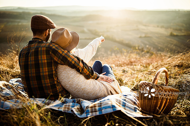 在草地上野餐的放松情侣的后视图图片素材