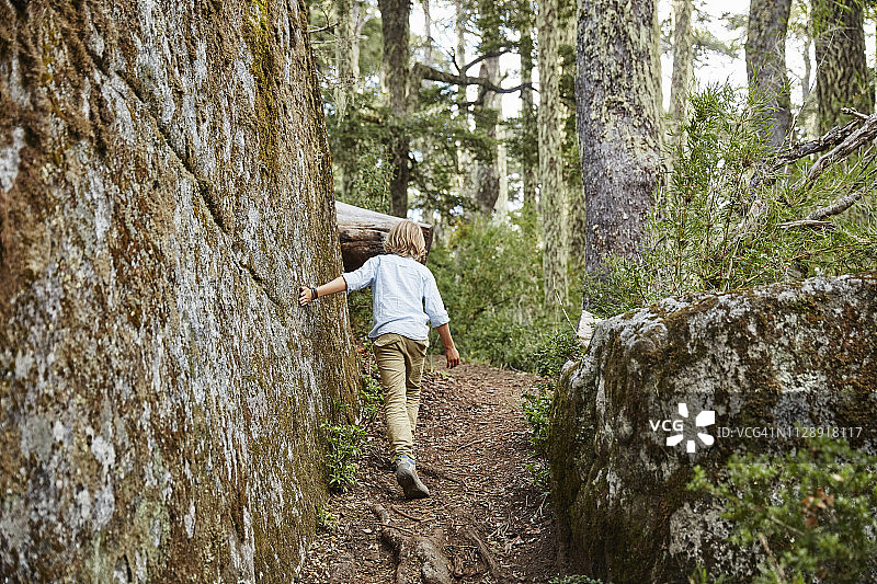 智利普伦纳韦尔布塔国家公园的男孩和南洋杉林中的巨石图片素材