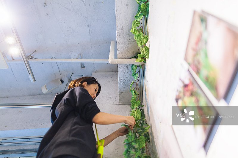 花艺师装饰墙壁图片素材