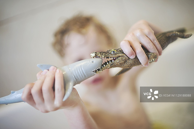 鲨鱼与鳄鱼的战斗图片素材