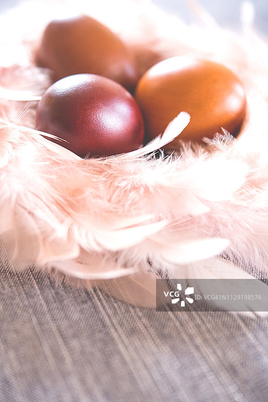 粉色羽毛巢中的天然彩色复活节彩蛋图片素材