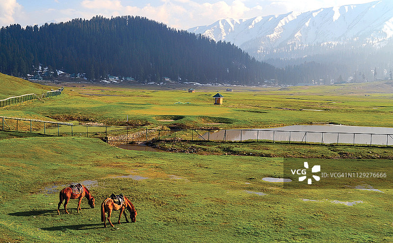 印度查谟和克什米尔邦的古尔马格图片素材