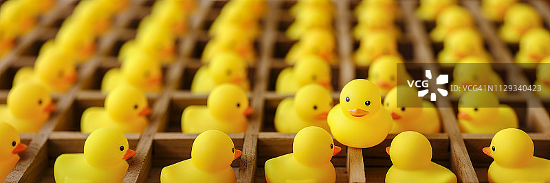 许多黄色橡皮鸭在木制鸽子笼盒子里看着一只在盒子外面是自由的鸭子：关于跳出框框、自由等的概念图图片素材