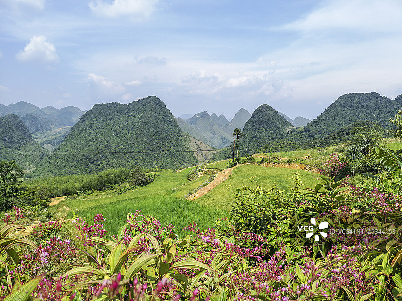 越南保禄高速公路沿线的稻田和自然全景的壮丽景色图片素材