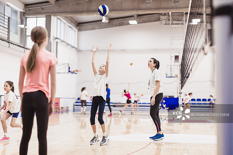 女排团队在室内锻炼图片素材