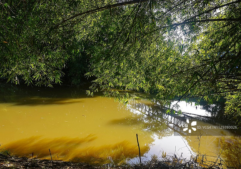 莫约河上的竹子图片素材