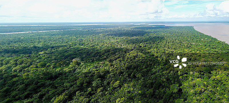 巴西亚马逊热带雨林图片素材