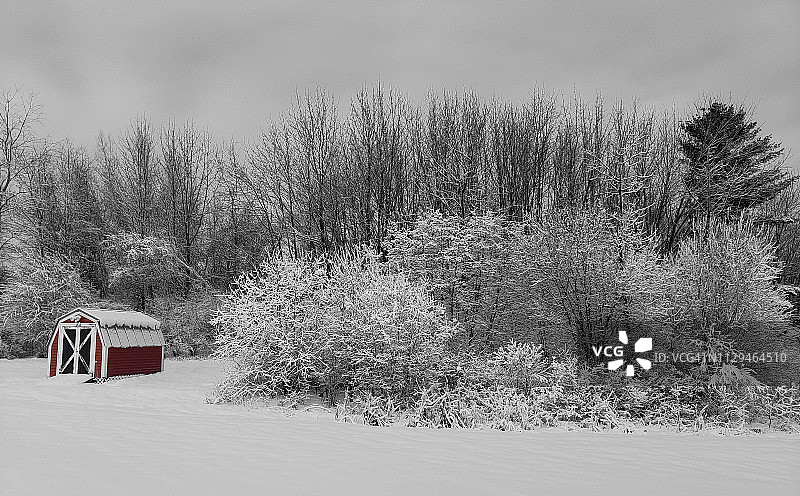雪景中的红色谷仓图片素材