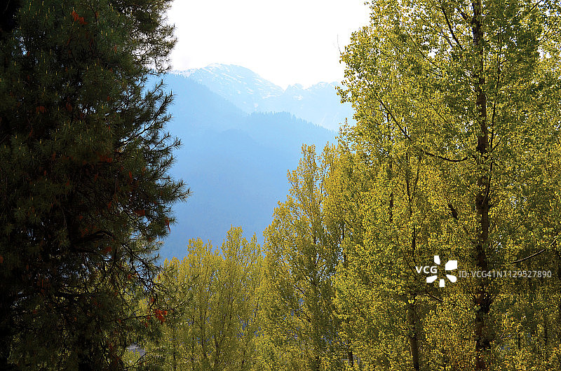 印度查谟和克什米尔邦帕哈尔加姆图片素材