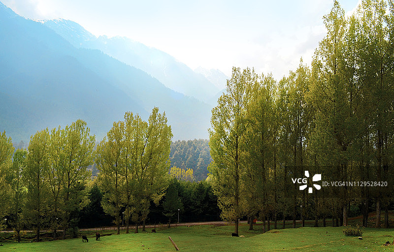 印度查谟和克什米尔邦帕哈尔加姆图片素材