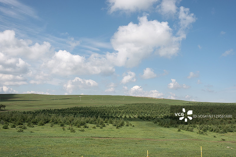 辉腾锡勒草原上的风力涡轮机图片素材