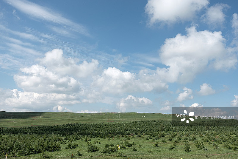 辉腾锡勒草原上的风力涡轮机图片素材