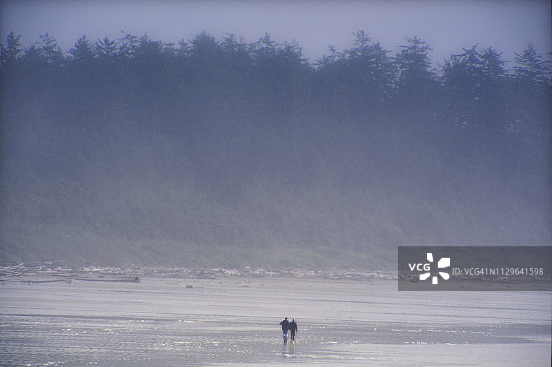 雾天太平洋国家公园长滩上情侣的剪影图片素材