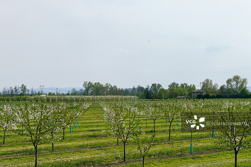 从马拉内罗到意大利威尼斯的公路沿途风光图片素材
