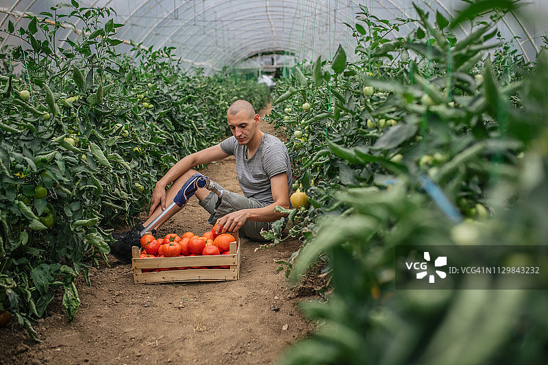 农场上的残疾男子图片素材