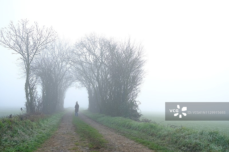 女人走在法国尼奥尔德塞夫勒雾气笼罩的林荫道上图片素材